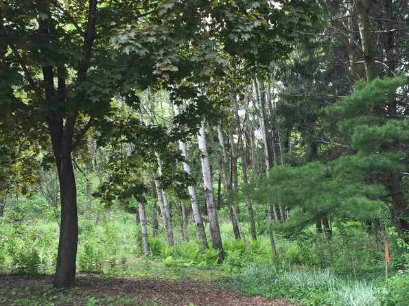 10 Larch Cir, Madison, WI 53705