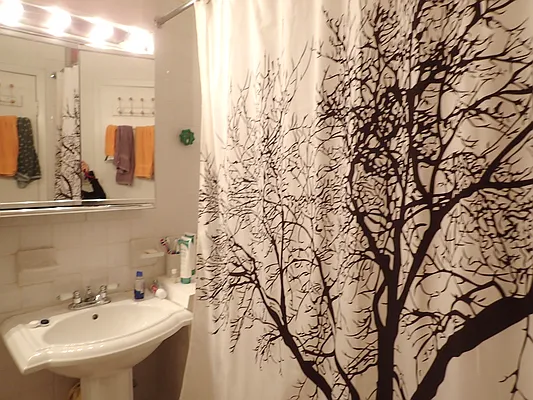 Rented by Brooklyn Heights Real Estate Inc | media 14