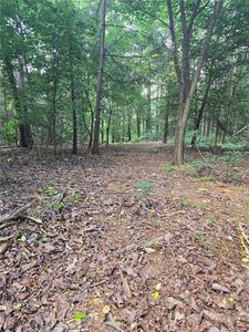 155 Banks Chapel Rd NE #X, Ranger, GA, 30734