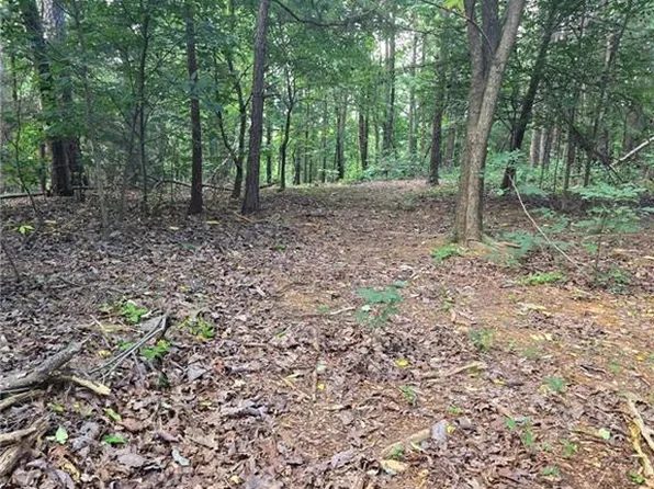 155 Banks Chapel Rd NE #X, Ranger, GA 30734