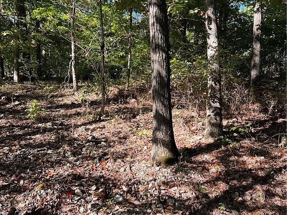 2nd image of Rothbury Ln #11
