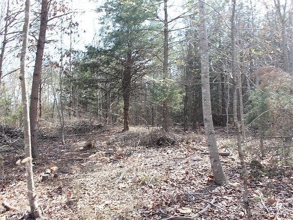 3rd image of 0 Summerset Rd