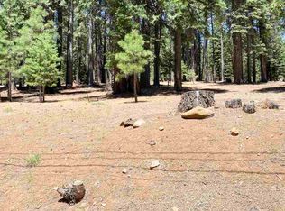 613 E Mountain Ridge Rd, Westwood, CA 96137