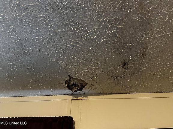 5th image of 3218 41st Ave