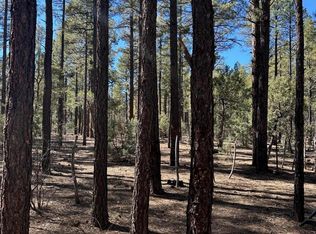 3725 Bear Trl, Lakeside, AZ 85929