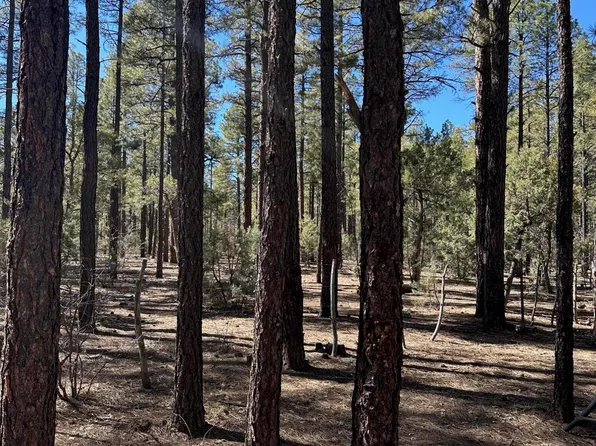 3725 Bear Trl, Lakeside, AZ 85929