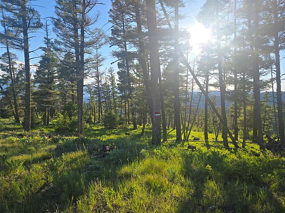 2nd image of 1 Big Sky Ridge Ln