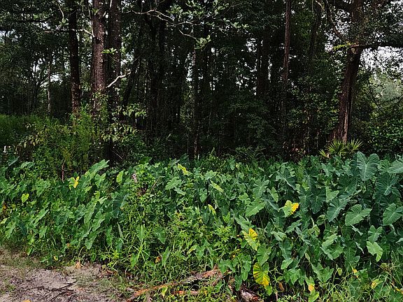 2nd image of 373 Carl Burney Rd