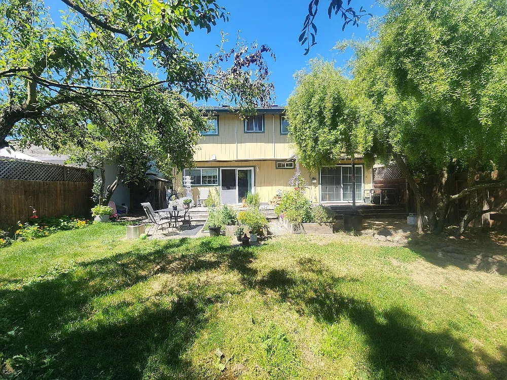 Back yard. Photo taken 5/15/26 - 5035 Charmian Dr