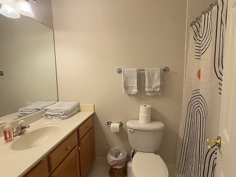 4111 Doveville Ln #BASEMENT — Photo 8