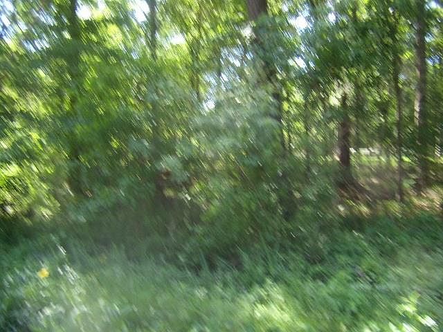 1st image of Pine Dr