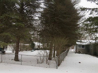 2nd image of 26451 W Lotus Ave