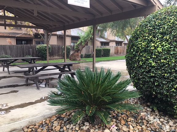 Pool & Picnic Area