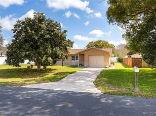 1364 Inca Ave, Spring Hill, FL 34608