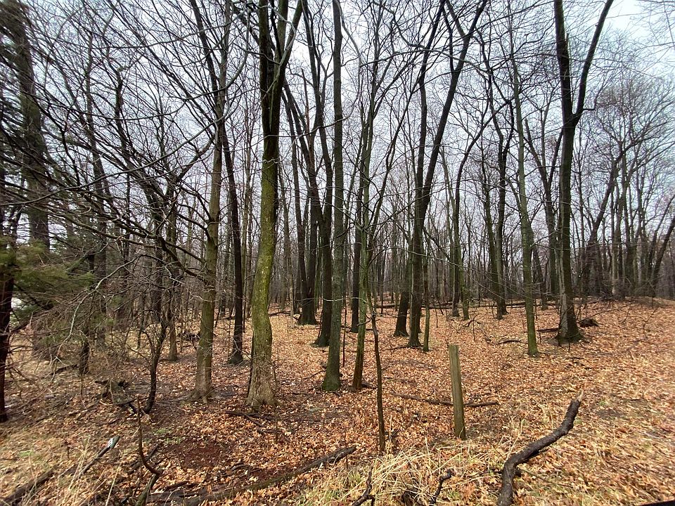 2nd image of 0 E Hastings Lake Rd
