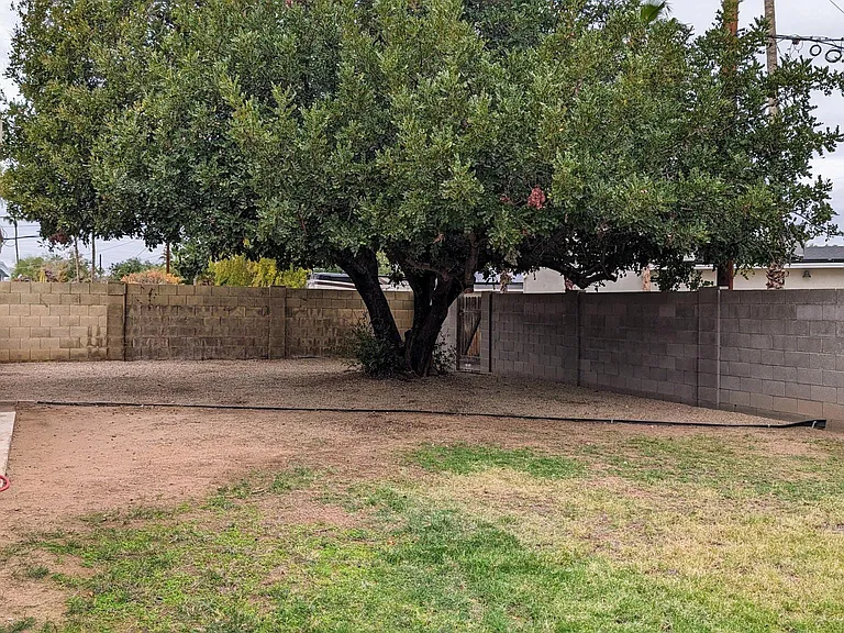 3944 E Desert Cove Ave — Photo 19