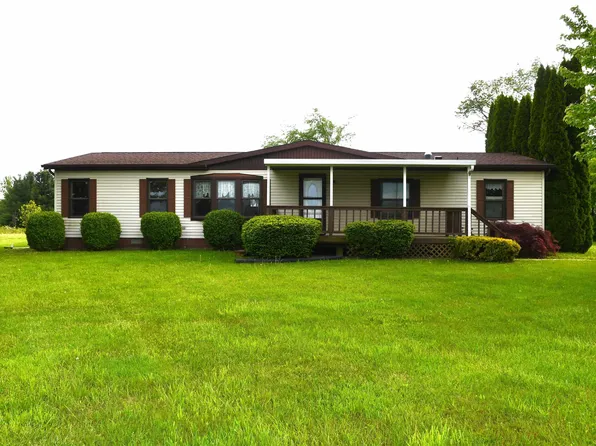 10805 Wilkes Rd, Yale, MI 48097