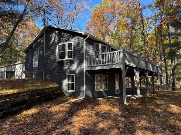 10031 W River Rd, Irons, MI 49644