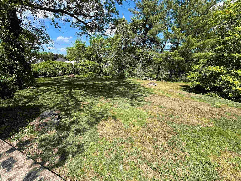 226 Orchard Ln — Photo 35