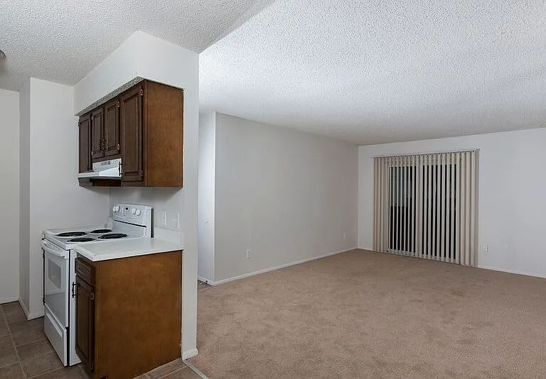 Kitchen/Living Area