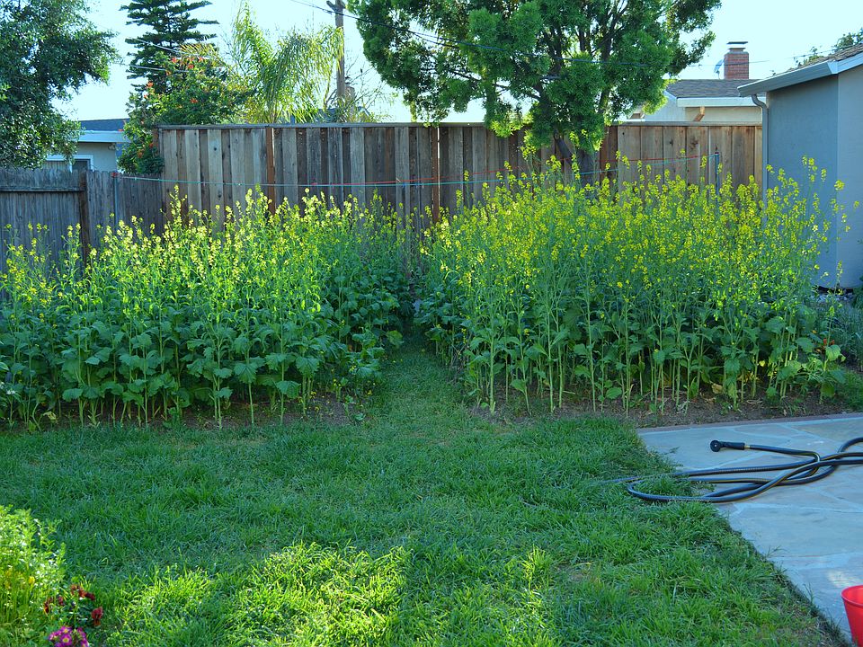2nd image of 5038 Banff Park Ct