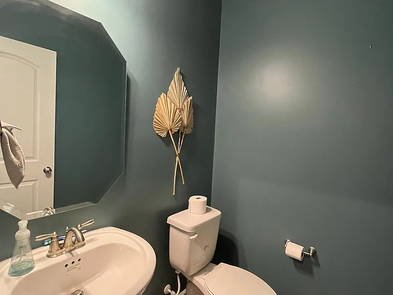Downstairs Half Bath