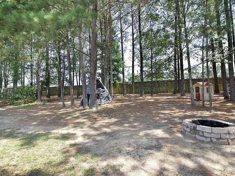 197 Caswell Pines Ln — Photo 9