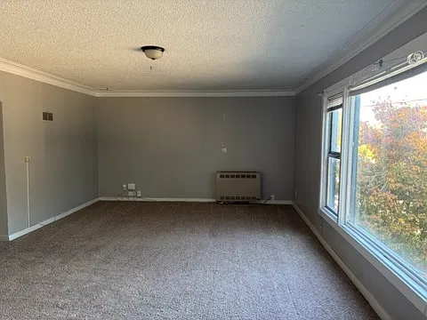 2 bed, 1200 sqft, $2,450 — Photo 3