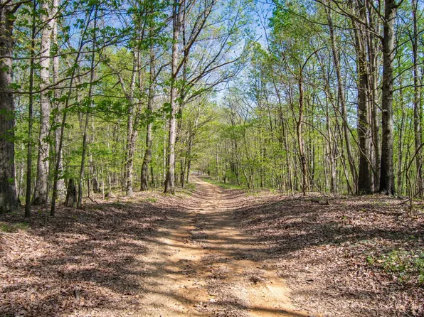 1555 Dog Hollow Rd, Lynnville, TN 38472