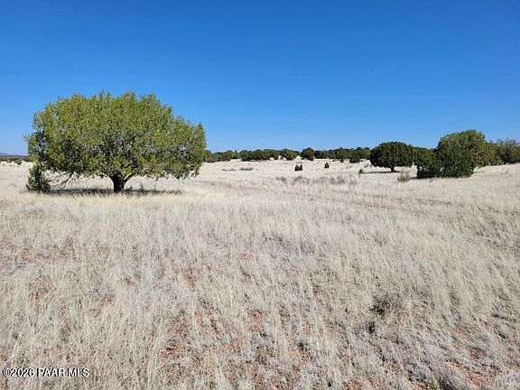 4th image of LOT 293 N Flaming Star Dr