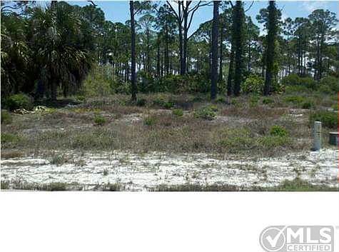 3rd image of 137 Hemmingway Cir