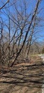 LOT 10 SE Sycamore Dr, Holt, MO, 64048