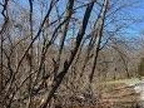 LOT 10 SE Sycamore Dr, Holt, MO 64048