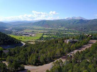 337 Caballo St, El Jebel, CO 81623