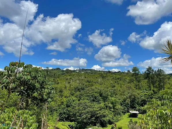 152 Calle Bromelias Dm #9.7, Barranquitas, PR 00794