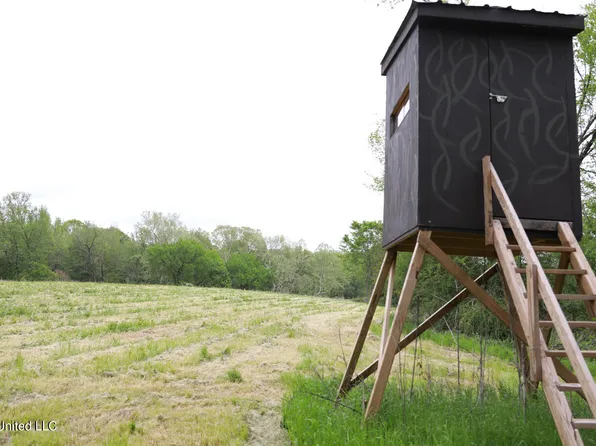 9543 Rosebank Mount Olive Rd, Cruger, MS 38924