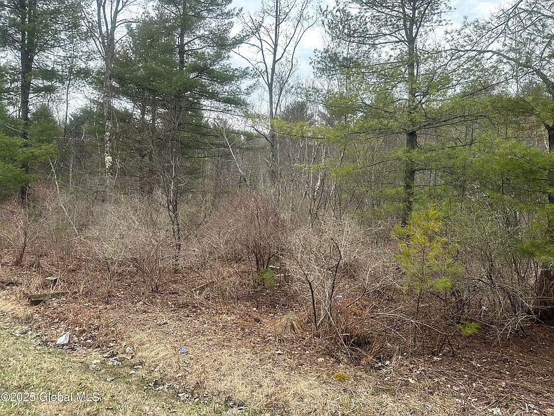 3rd image of L46.112 Sandhill Road