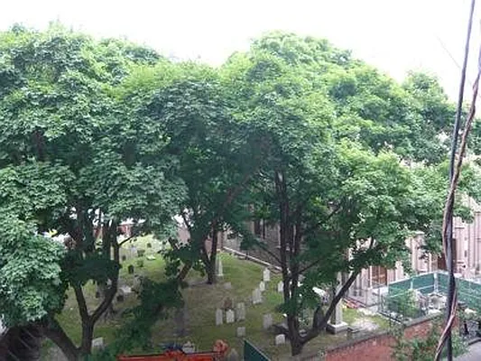 Rented by Veracity NYC LLC | media 16