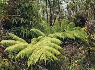 Uluhemalu Rd LOT 49, Mountain View, HI 96771