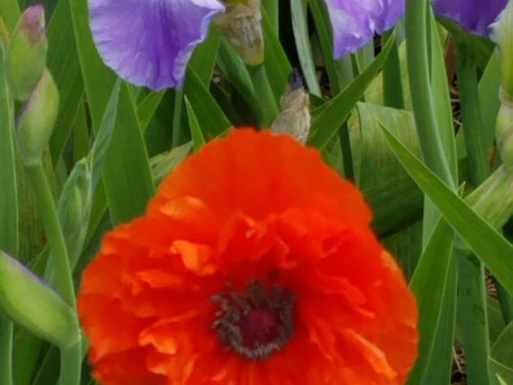 Today's newest arrivals. (5/26/19)