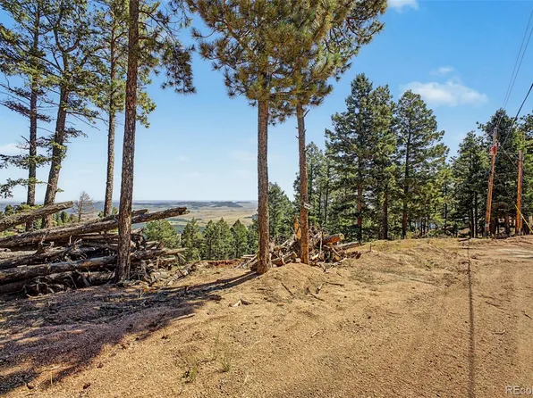 2199 Badger Drive, Larkspur, CO 80118