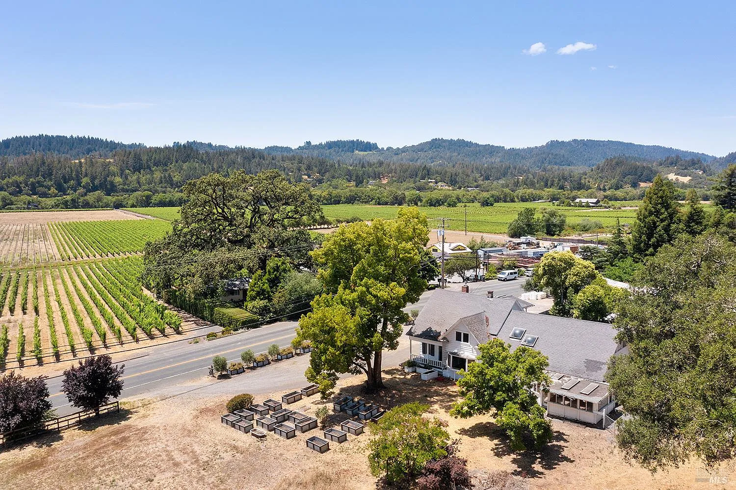 995 Dry Creek Road - Photo 10