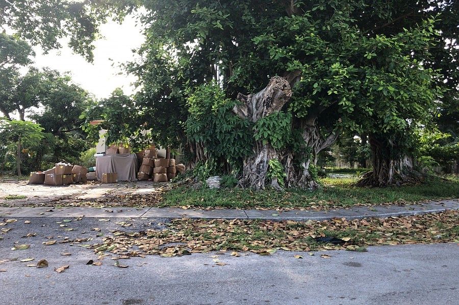 1st image of 170 Georgia Ave