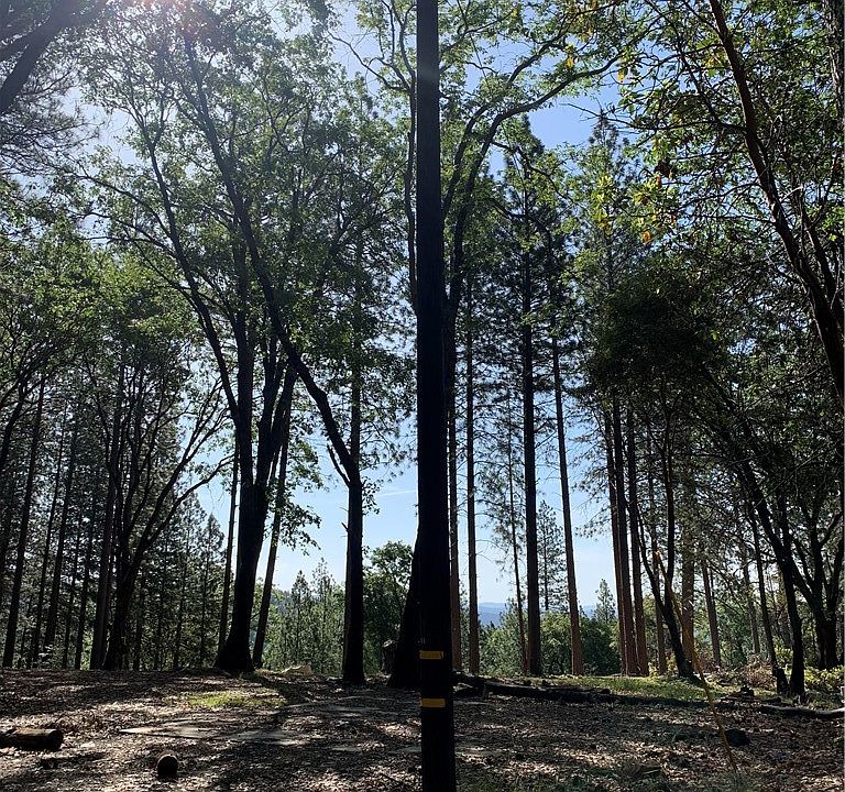 1st image of 0 Catalpa Ln Lot H