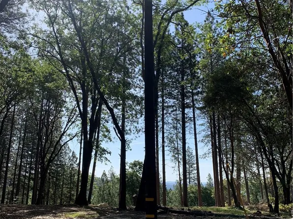 0 Catalpa Ln Lot H, Berry Creek, CA 95916