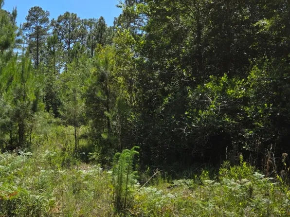 Tr16 Wildwood, Boiling Spring Lakes, NC 28461