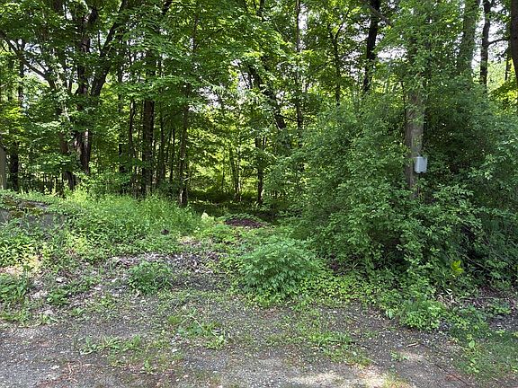3rd image of 319 White Oak Trail