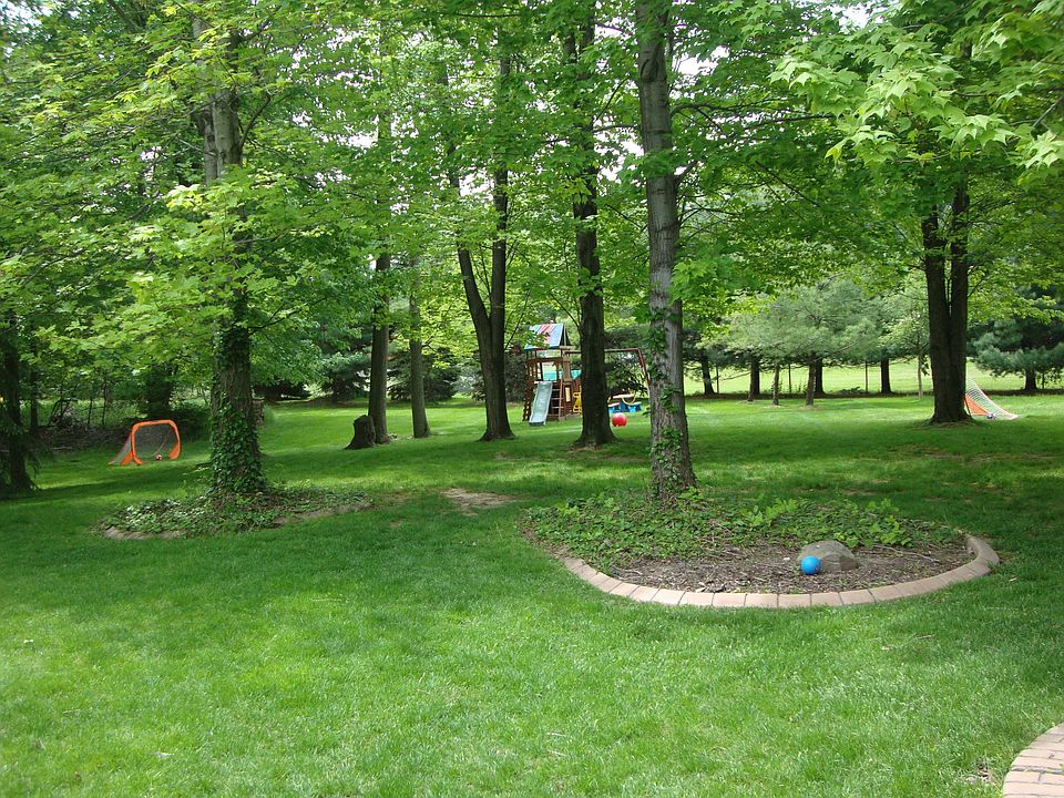 Large Deep Backyard