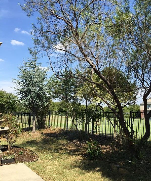 Backyard w golf course view