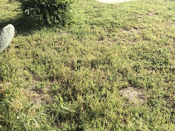 3rd image of 1350 Cornish Dr